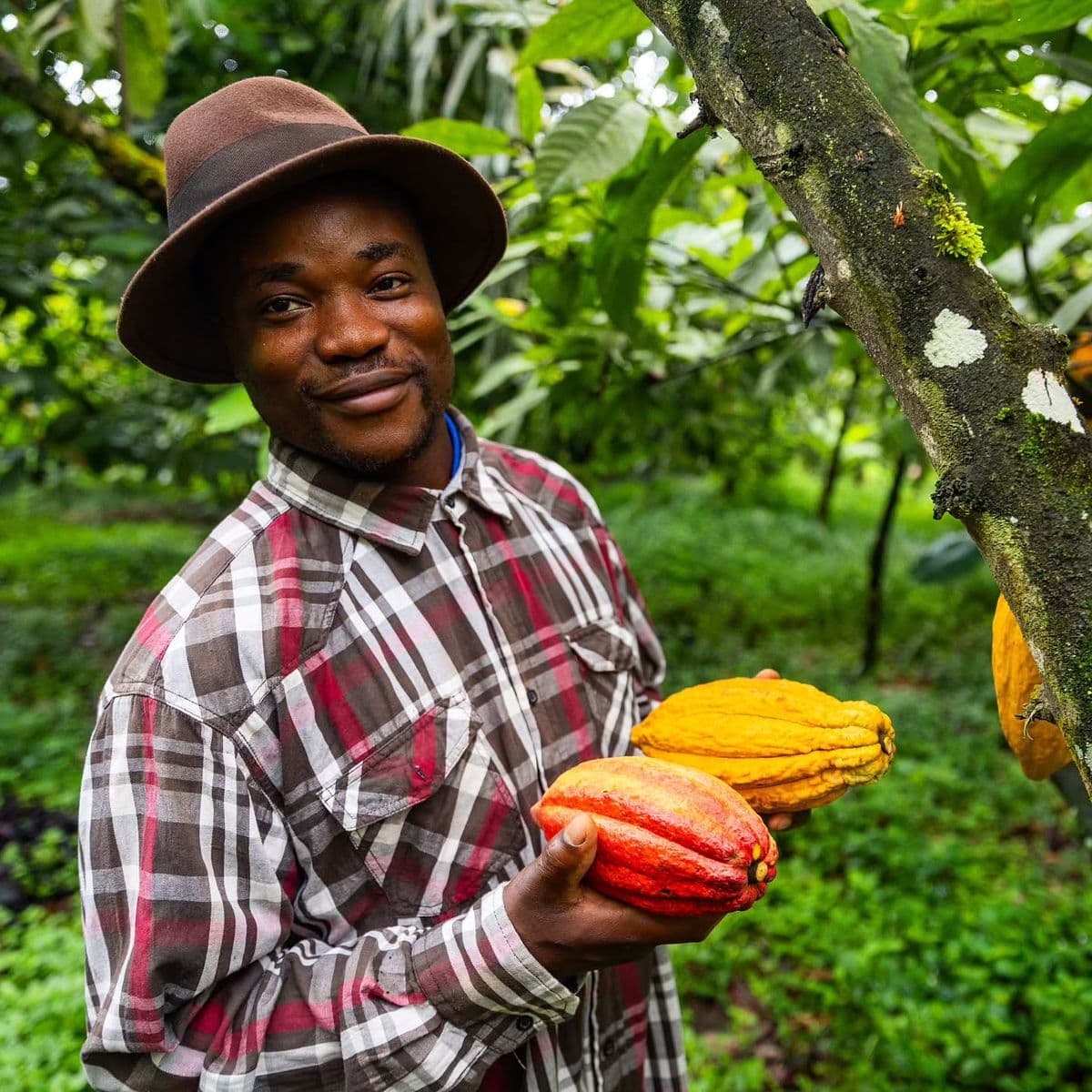 Social impact and community development