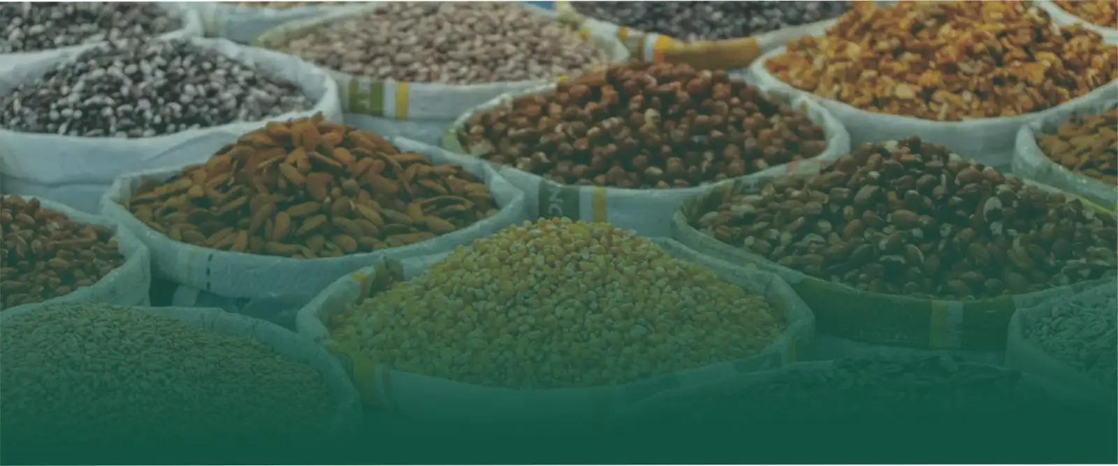 NOW OPEN: Cardinal Torch Launches Series 1 of its ₦30 Billion Commercial Paper Issuance Programme
